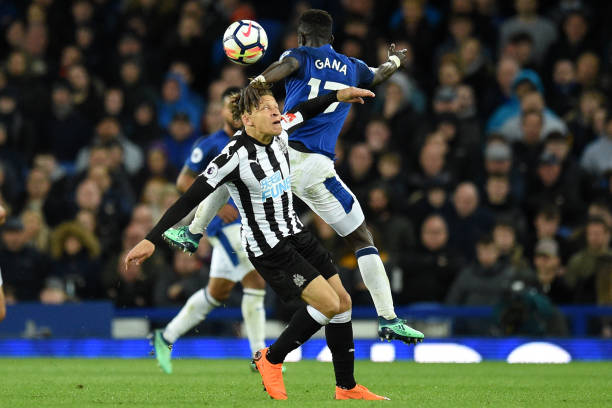 涯为无数年 涯为无数年