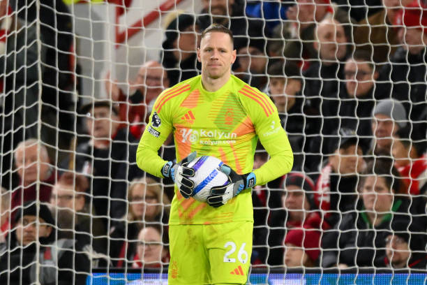 观赛体验的 观赛体验的